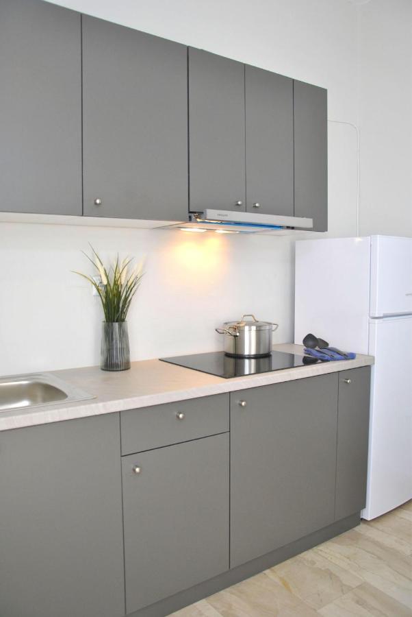 Apartament Houseloft Meteora Spirit Tríkala Zewnętrze zdjęcie